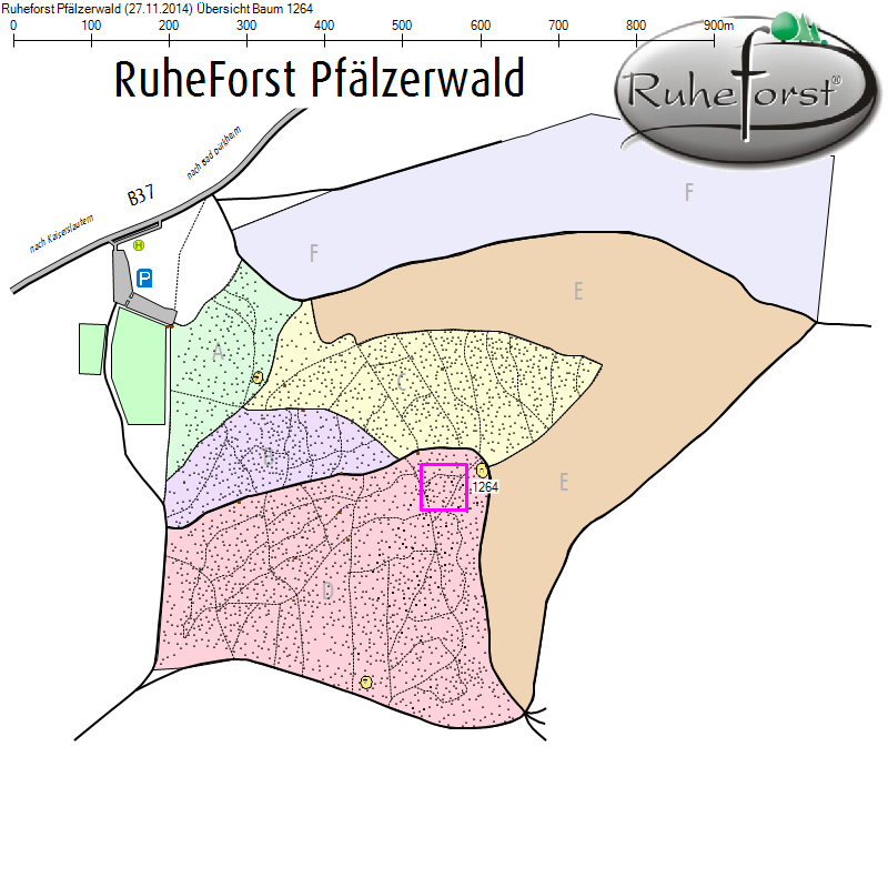 Übersichtskarte zu Baum 1264