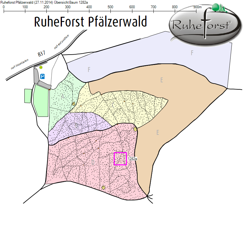 Übersichtskarte zu Baum 1282a