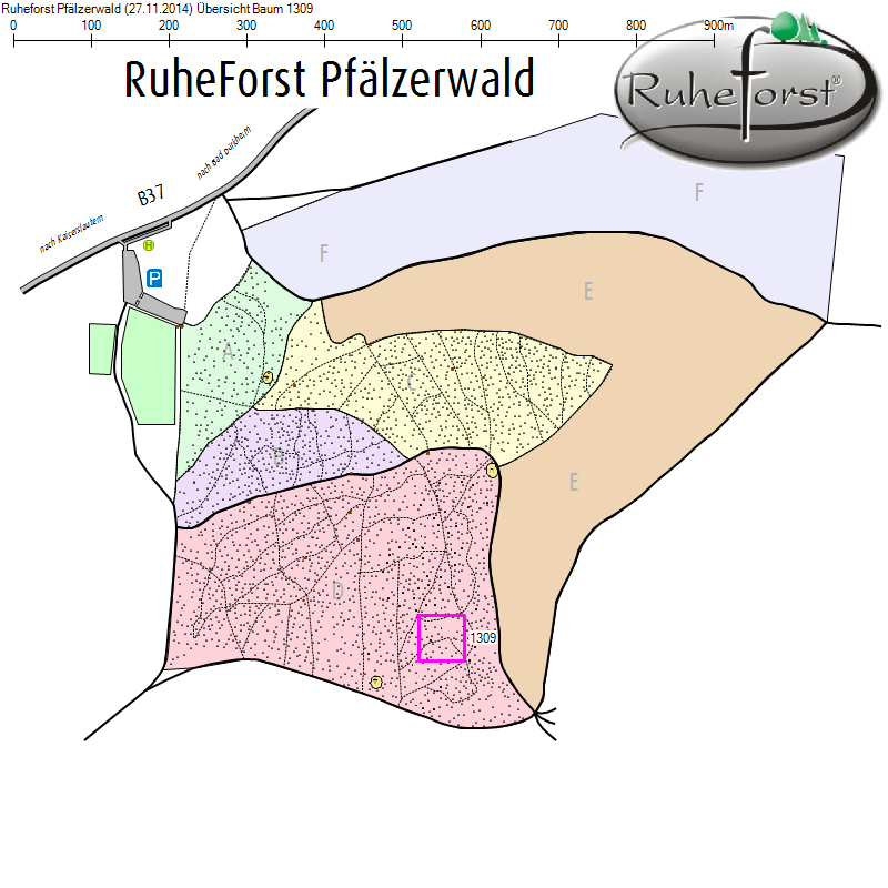 Übersichtskarte zu Baum 1309