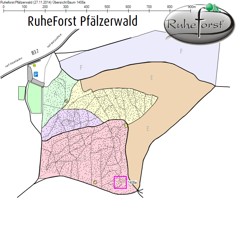 Übersichtskarte zu Baum 1408a