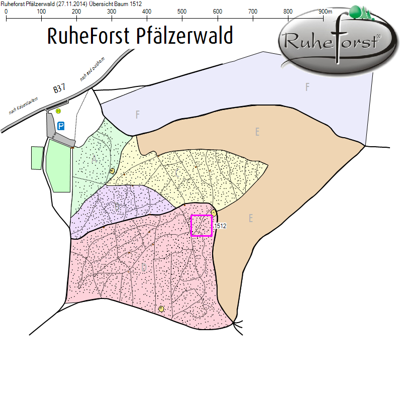 Übersichtskarte zu Baum 1512