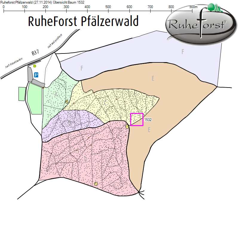 Übersichtskarte zu Baum 1532