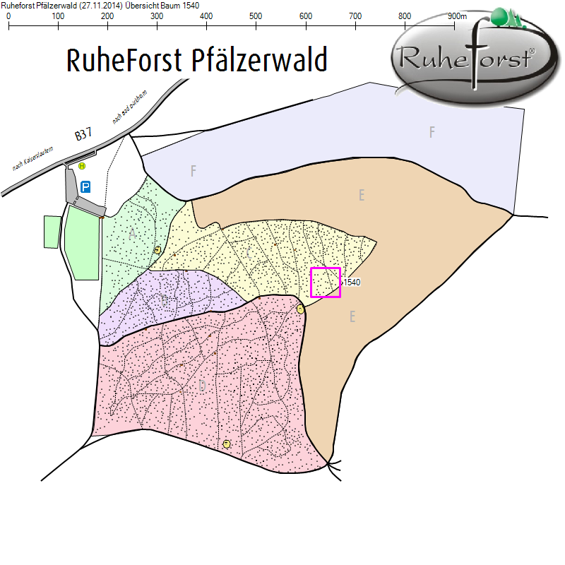 Übersichtskarte zu Baum 1540