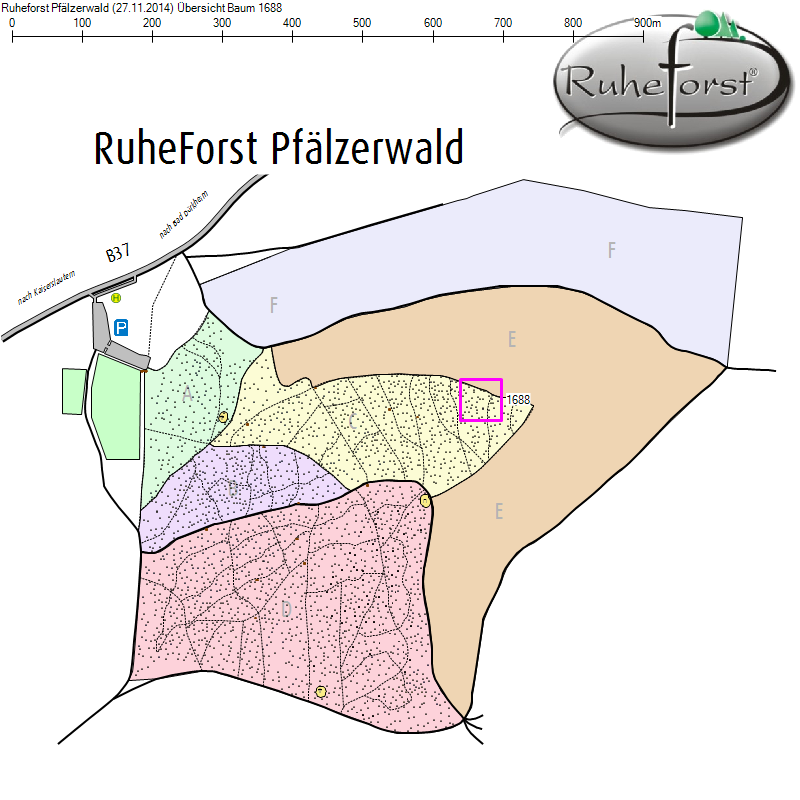 Übersichtskarte zu Baum 1688