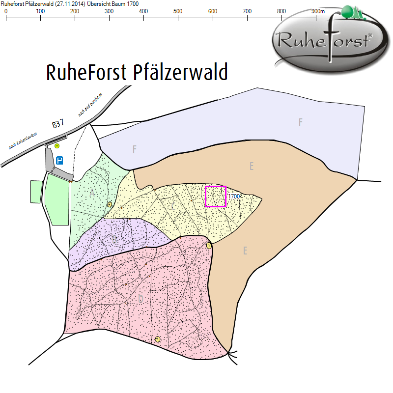 Übersichtskarte zu Baum 1700