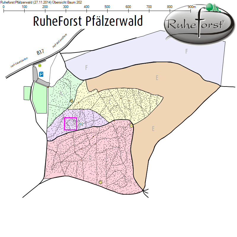 Übersichtskarte zu Baum 202