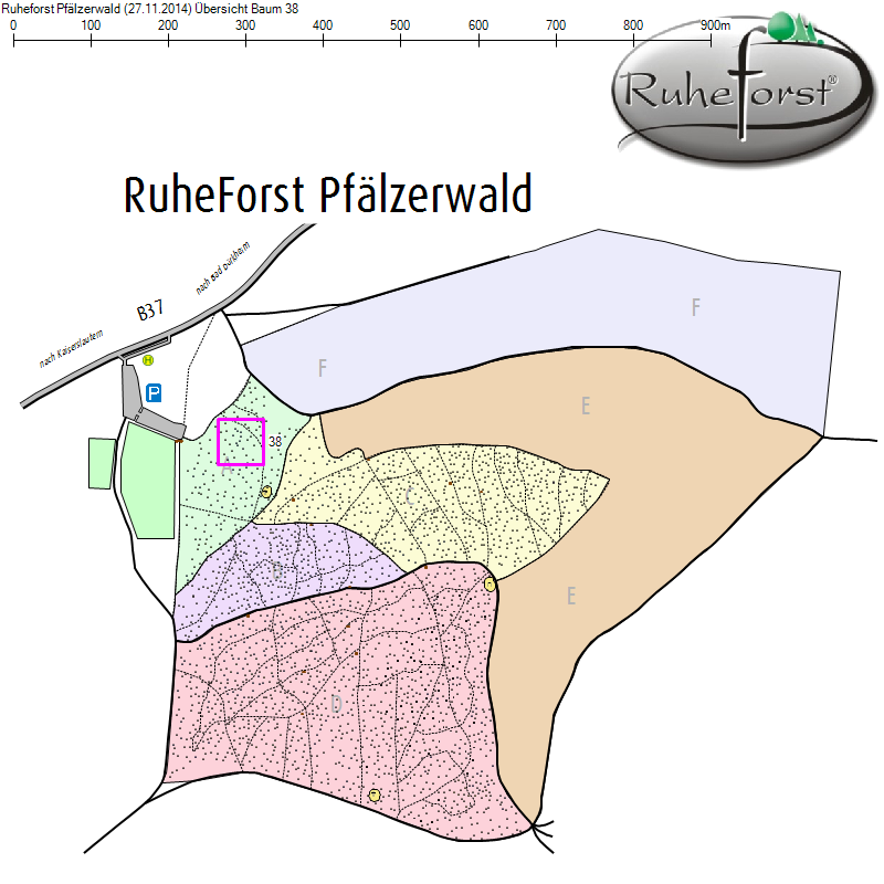 Übersichtskarte zu Baum 38