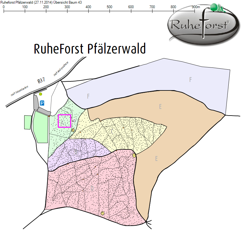 Übersichtskarte zu Baum 43